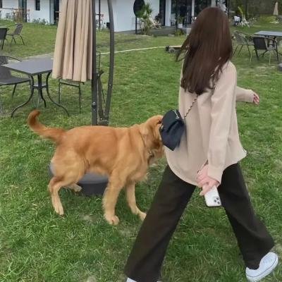 杰西警探：翻天覆地的变化 封面